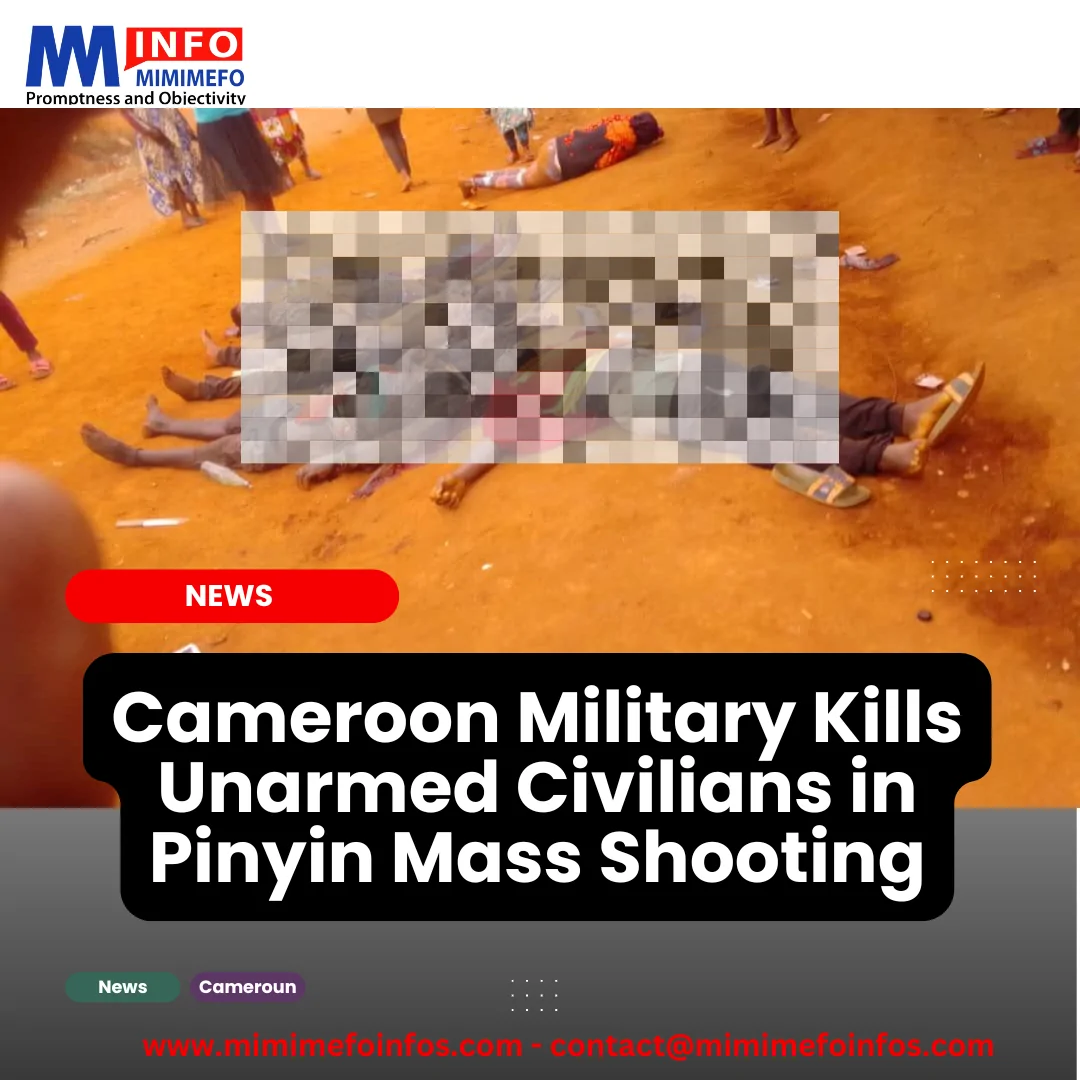 Cameroon military kills unarmed civilians in Pinyin