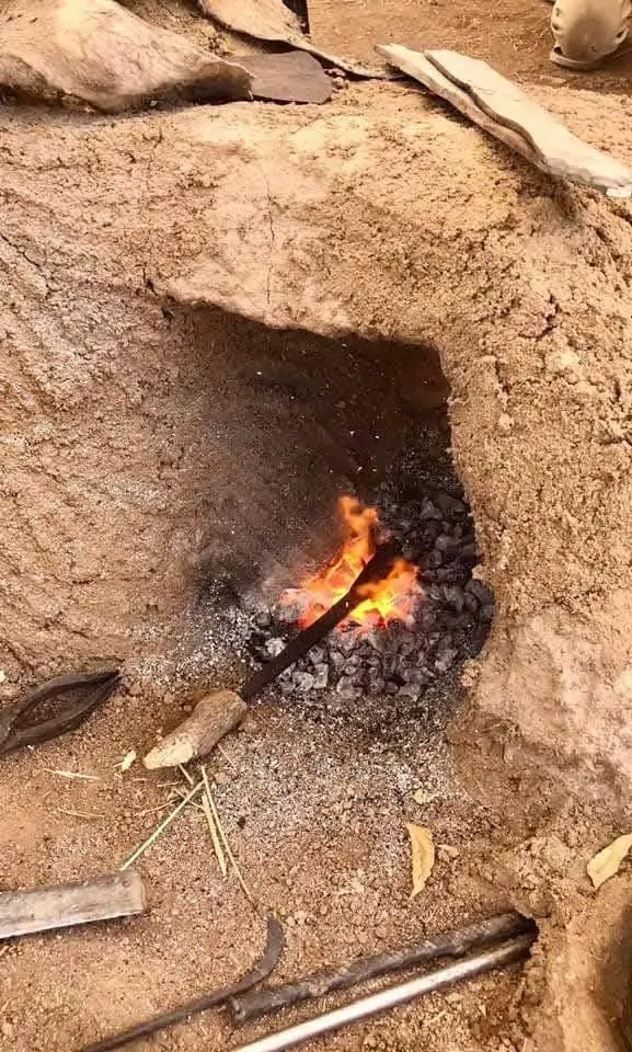 Ziba3
