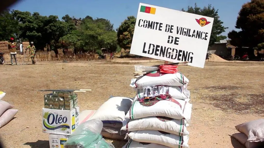 Comites De Vigilance1