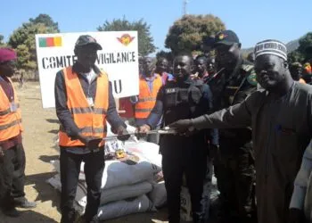 comités de vigilance de Mokolo