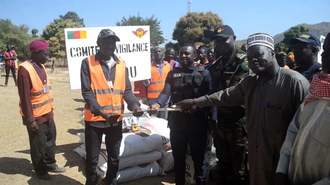 Comites De Vigilance3