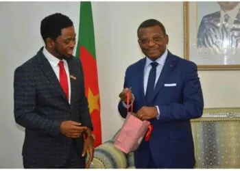 File photo: Prof Mbarika and PM Dion Ngute during an audience