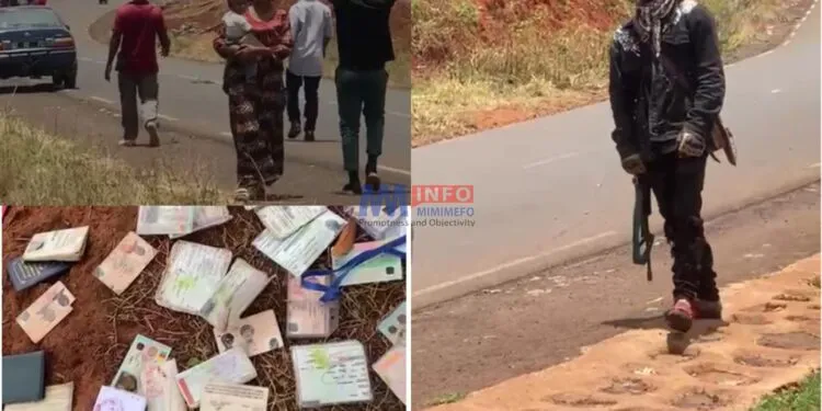 Ambazonia fighters confiscating ID cards