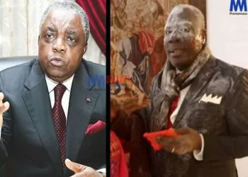 Cameroon government spokesperson condemns attack on Minister