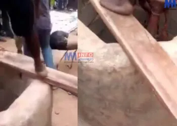 Couple drown in well