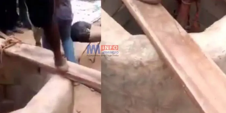 Couple drown in well
