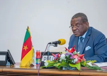 PM Chief Dion Ngute represents the Cameroon government in the evaluation meeting