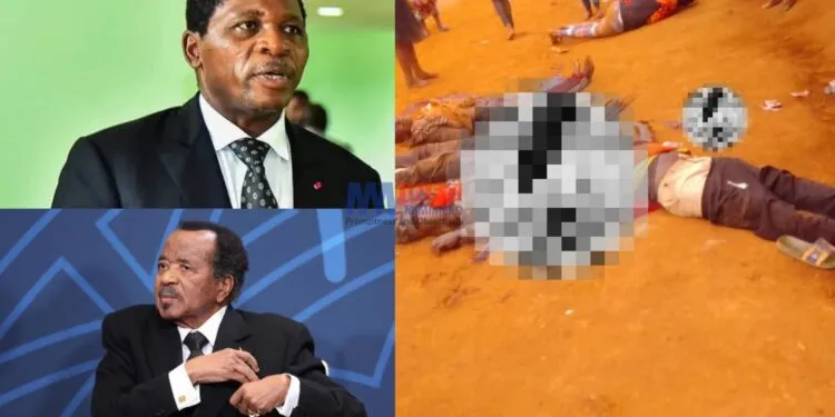 Pinyin massacre has received little comment from the Cameroonian authorities