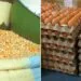Le gouvernement camerounais a importé 30.000 tonnes de maïs pour faire chuter le prix des œufs