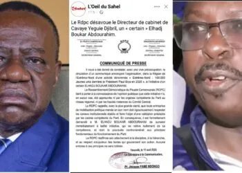 Le RDPC se désolidarise d'une marche de soutien à Paul Biya prévue à Maroua