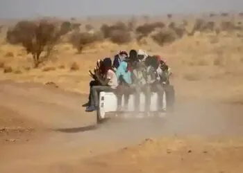 68648394 8032