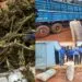 Beer truck transporting drugs bursted