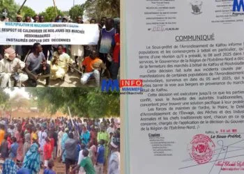 Cattle Markets Shut Down in Kalfou and Moulvoudaye Following Tensions Over Grazing Land Disputes