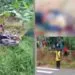Military vehichle kills two in Widikum