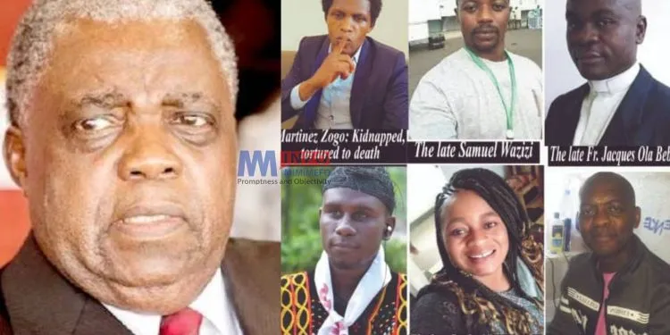 Cameroon minister says there is press freedom in Cameroon