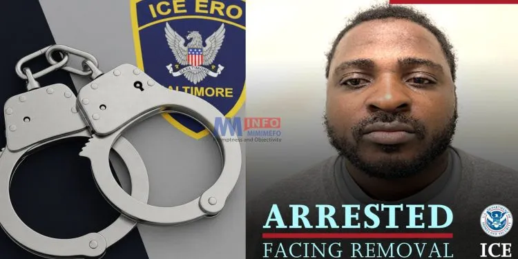 Clovis Fuh Neba arrested by ICE