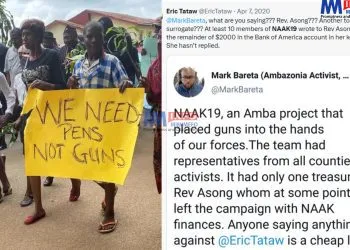 Diaspora-Based Network Accused By US of Funding Weapons for Cameroonian Separatists