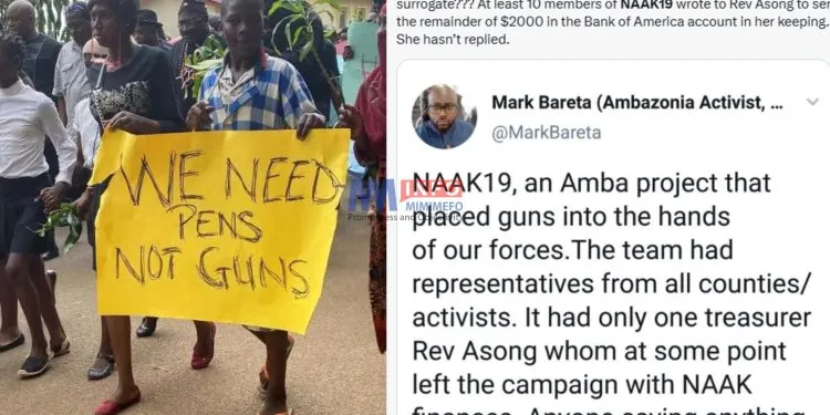 Diaspora-Based Network Accused By US of Funding Weapons for Cameroonian Separatists