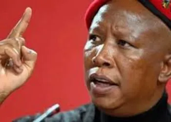 Julius Malema