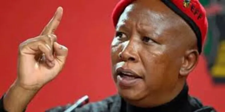 Julius Malema