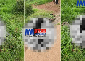 Two bodies found in Nkwen Bamenda