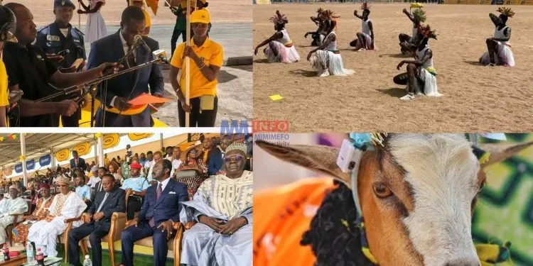 CHAZU 2025: Maroua Hosts Cameroon’s National University Championship