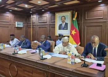 Cameroon minister aims to tackle rail transport safety
