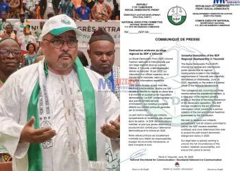 SDF condemns demolition of its building in Yaounde