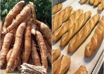 Pain au manioc : le Cameroun relance timidement sa politique de substitution au blé