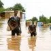 Adamaoua sous les eaux : Ngaoundéré face à la fureur du ciel