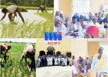 SEMRY : Des voix s’élèvent face aux dysfonctionnements dans la campagne rizicole