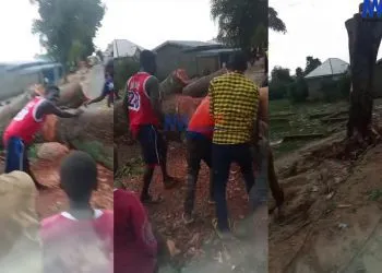 Zamaï, Cameroon: Fallen Tree Mysteriously Rises on Busy Road
