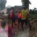 Zamaï, Cameroon: Fallen Tree Mysteriously Rises on Busy Road
