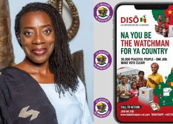 Disô, a citizen-led initiative in Cameroon