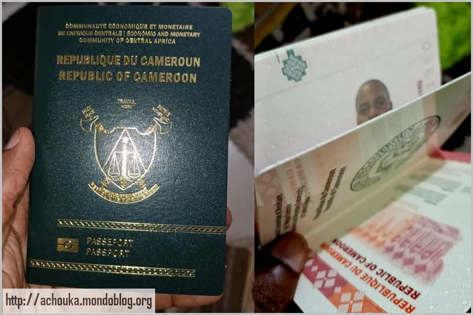 Passeport camerounais