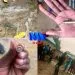Maroua security forces step up operations
