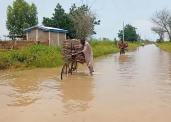 Severe floods in Dargala, Cameroon, disrupt the 2025 school year