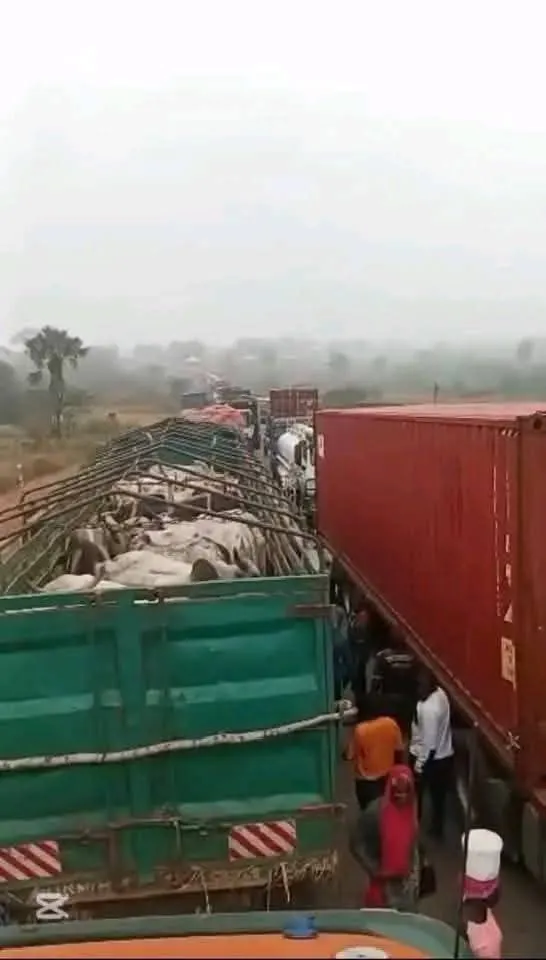 1000956406
