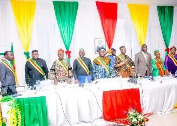 Elected regional councilors with no power