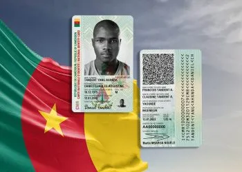 Cameroon national flag cloth fabric waving on beautiful grey sky Background.